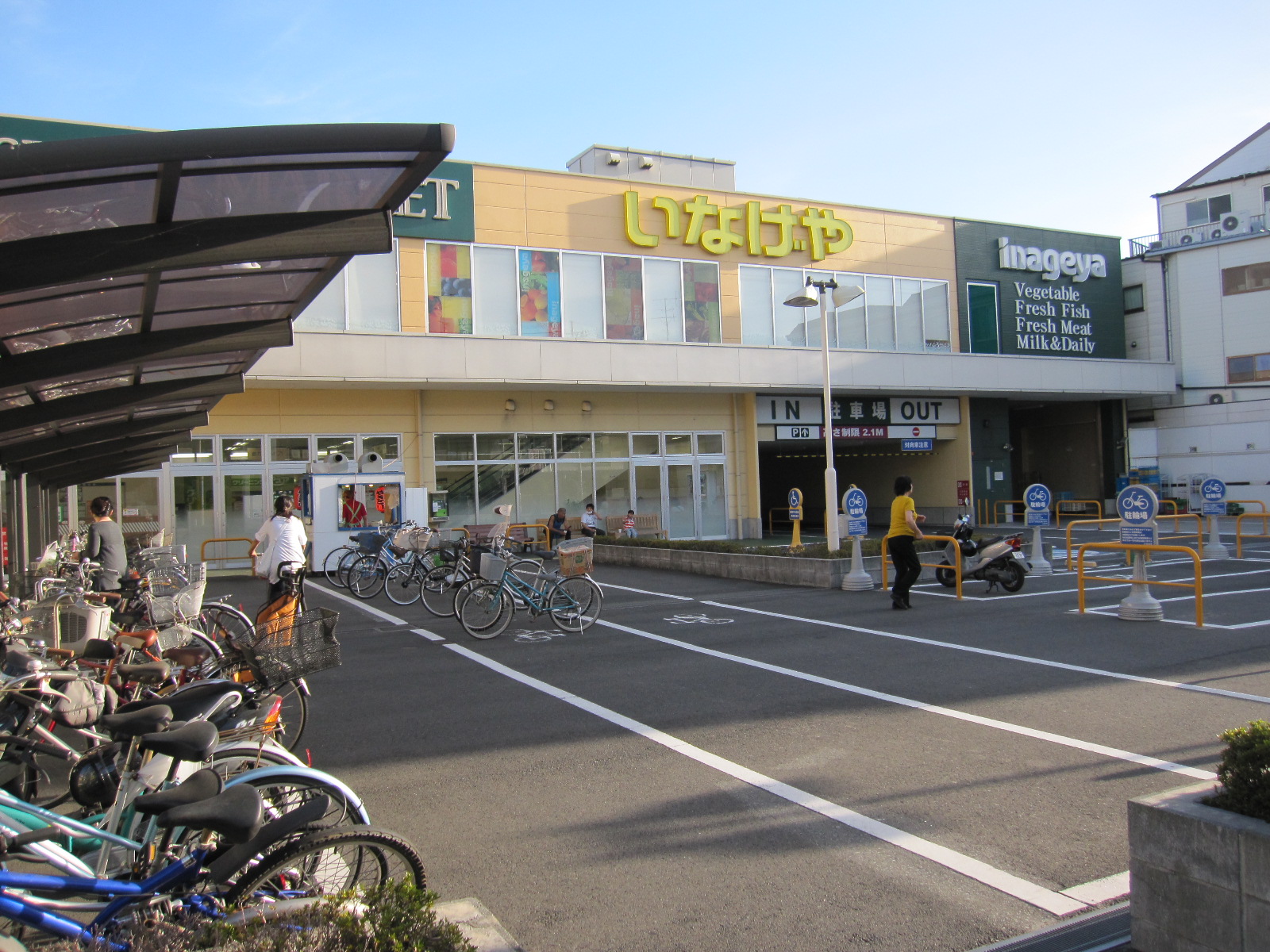 スーパー：いなげや 横浜綱島店　1064m