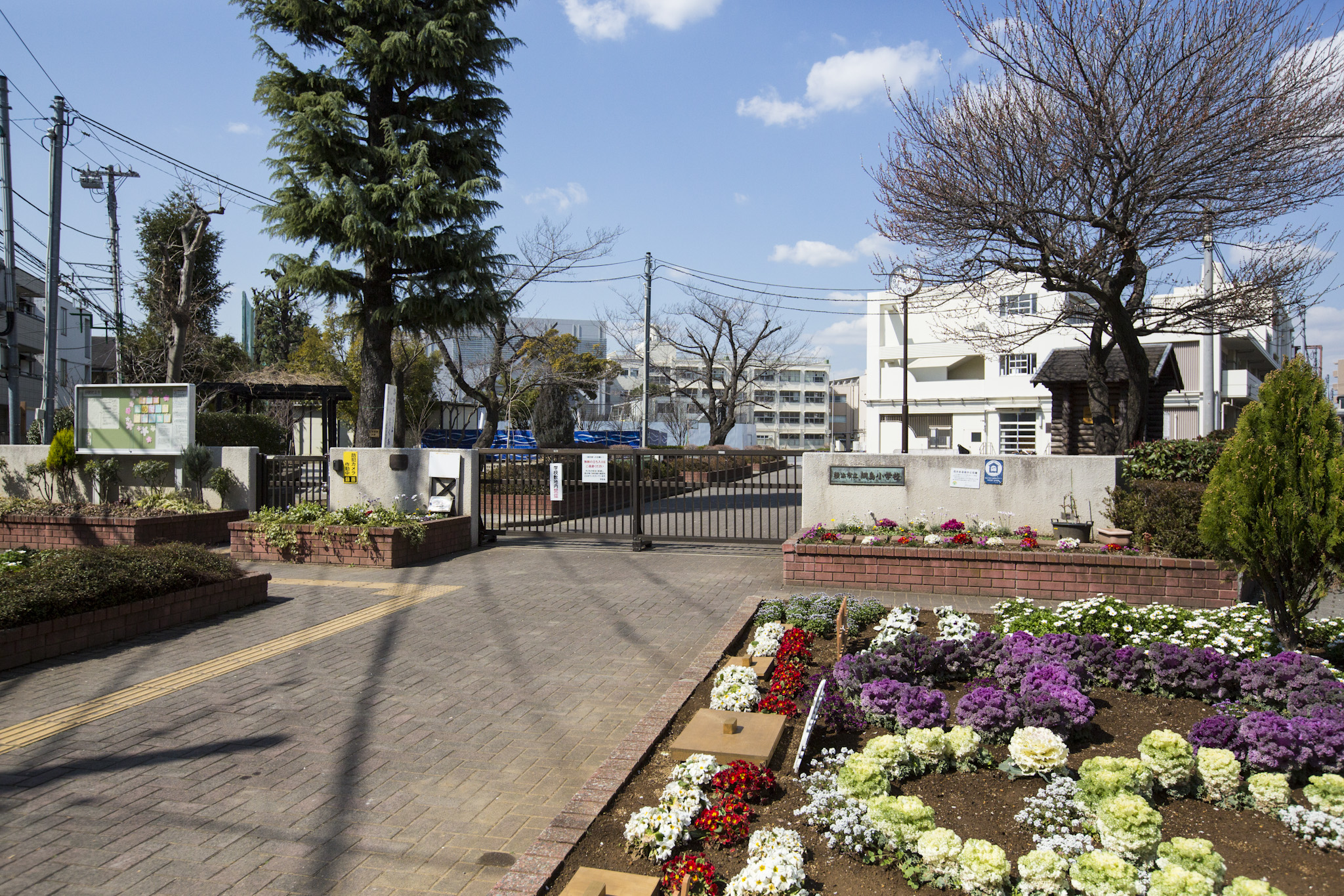 小学校：横浜市立綱島小学校　451m